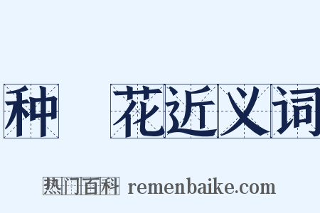 种橦花近义词是什么意思的图片